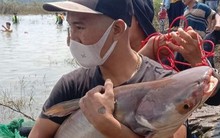 Thủy điện Trị An đóng đập tràn, người dân được mùa bắt cá 'khủng'