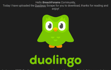 Dữ liệu 2,6 triệu người dùng Duolingo bị phát tán công khai