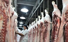 Thịt nội lép vế trên sân nhà, khó xuất khẩu