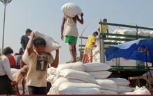 Myanmar hạn chế xuất khẩu gạo