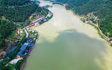 Yêu cầu xử lý nghiêm vi phạm “băm nát” đất rừng