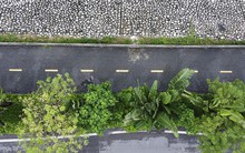 Diện mạo mới của đường đi bộ ven sông Tô Lịch