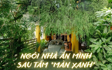 Hai cha con xây nhà "rừng" 360m2 giữa phố: Không gian kết nối thông thoáng, quanh năm không cần bật điều hòa