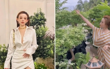 Vườn cây trong biệt thự 100 tỷ của Huyền Baby: Chồng chăm cây từ A - Z, vợ chỉ việc thả dáng sống ảo
