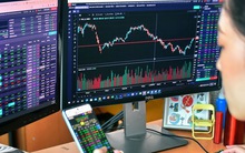 Chứng khoán đã tạo đáy?