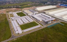 Vừa niêm yết HoSE, một công ty bất động sản KCN sắp trả cổ tức và thưởng cổ phiếu với tổng tỷ lệ 100%