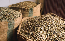 Một loại nông sản của Việt Nam đang đổ bộ Thái Lan với giá đắt đỏ kỷ lục, Việt Nam xuất khẩu đứng thứ 2 thế giới