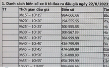 11 biển số xe ô tô siêu đẹp sẽ đấu giá trước ngày 16/9
