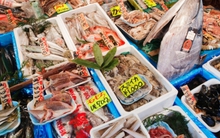 Xả thải hạt nhân Fukushima: Lệnh cấm hải sản Nhật Bản của Trung Quốc có thể gây tác dụng ngược