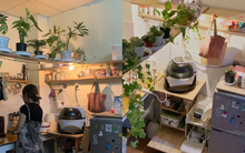 Cô gái học thiết kế kiến trúc, tự trang trí phòng trọ đơn giản mà tiết kiệm diện tích