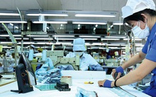 Hơn 100.000 doanh nghiệp thành lập mới sau 8 tháng