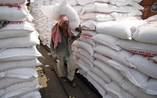 Sau Ấn Độ, thêm một quốc gia châu Á bất ngờ tuyên bố cấm xuất khẩu đường dù vụ mía bội thu, giá đường tăng kỷ lục