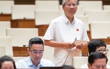 ĐBQH: "Kinh doanh bất động sản đã trở thành một nghề dễ làm, dễ phất"