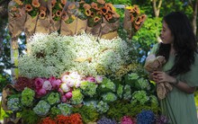 Giới trẻ tại Huế hào hứng với trào lưu checkin cùng xe hoa "chở đầy" mùa thu Hà Nội