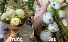 “Kiếp nạn” mua hoa trên phố Phan Đình Phùng: Lúc mua tươi rói, về đến nhà méo mặt với sự thật bên trong