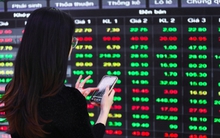 Hé lộ chủ mới Chứng khoán Saigonbank Berjaya