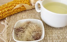 Loại "gạo ngọc" trồng nhiều ở Việt Nam, từ hạt đến rễ đều là vị thuốc quý nhưng nhiều người chưa biết