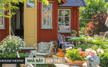 Mua mảnh đất bỏ hoang, chàng trai xây căn nhà 27m2 với khu vườn quanh năm đều đẹp