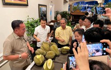 Tiếp tục có lãi nhưng vẫn bị kiểm toán nghi ngờ khả năng hoạt động liên tục, Hoàng Anh Gia Lai nói gì?