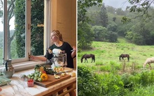 Căn bếp có cửa sổ rộng nhìn ra ngọn đồi và đàn ngựa đang gặm cỏ khiến 11 triệu người ao ước