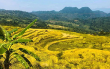 Bắt trọn "thời điểm vàng" tận hưởng và trải nghiệm Pù Luông đẹp nhất trong năm với chi phí chưa tới 2 triệu đồng