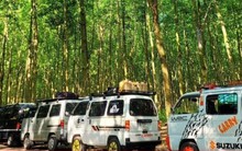 Top 3 kiểu cắm trại cực 'hot' dịp lễ 2/9 tại TP.HCM