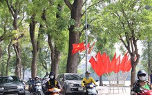 Sáp nhập quận Hoàn Kiếm có mang lại lợi ích lớn hơn?