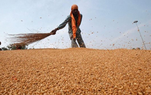 Sau dầu thô và khí đốt, Nga bất ngờ tuyên bố cung cấp thêm một mặt hàng giá rẻ cho các quốc gia “thân thiện”, là mặt hàng Nga xuất khẩu đứng đầu thế giới