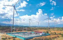 Giá điện: Linh hoạt theo thị trường