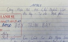 "Việc nhẹ lương cao" ở nước ngoài: Đơn cầu cứu mỗi ngày