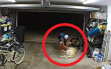 Trộm vào tận gara lấy đi chiếc xe đạp trị giá 30 triệu, chủ "tăng xông" khi xem camera an ninh