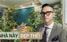 Chi 70 triệu đồng sửa nhà với rất nhiều cây, chàng trai bị hỏi “có sợ muỗi tấn công'?