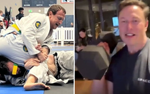 Tưởng đùa nhưng lại là thật: Elon Musk thông báo sẽ đấu tay đôi với Mark Zuckerberg, phát trực tiếp trên nền tảng X