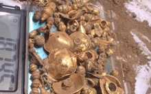 Đào đất xây nhà, nhóm công nhân đụng trúng kho báu tiền tỷ