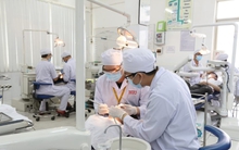 Đại học chuẩn quốc tế 5 sao Hồng Bàng: Mũi nhọn ở khối sức khoẻ, có ngành học phí lên đến 1,2 tỷ đồng