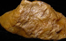 Sở hữu 2.000 tỷ sau một đêm nhờ việc đào măng trên núi