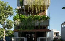 Mê mẩn với căn nhà dân dã trồng hoa cỏ thơm bên trong