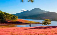 Diễn biến mới tại "siêu dự án" quy mô gần 4.000 ha tại Lâm Đồng