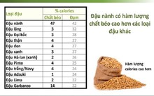 Các sản phẩm từ đậu nành – Lựa chọn tốt để nuôi dưỡng chế độ ăn giàu đạm thực vật