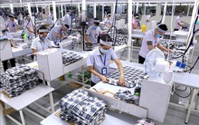 Mức tăng lương tối thiểu vùng năm 2024 dự kiến là bao nhiêu?