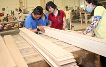 Xuất khẩu gỗ tăng trở lại