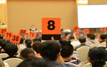 Đấu giá hơn 200 nghìn cuộc: Giá trúng chênh lệch với giá khởi điểm gần 110 nghìn tỷ đồng