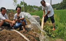 Khoan giếng trong vườn nhà để tưới cây, anh nông dân bị phạt 66 triệu đồng, khi nhận ra lỗi sai thì đã quá muộn