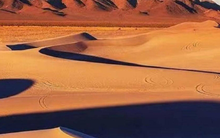 Có gì dưới lớp cát dày của sa mạc Sahara?