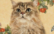 3 nét đặc biệt giúp tuổi Mão có công việc thuận lợi, sự nghiệp lên hương