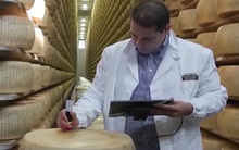 Gắn chip cho phô mai để chống hàng giả