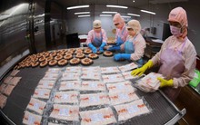 Doanh nghiệp xuất khẩu đứng trước nhiều thử thách