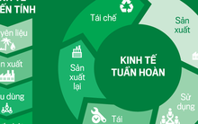 Doanh nghiệp tham gia thử nghiệm phát triển kinh tế tuần hoàn được hưởng ưu đãi gì?