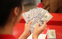 Tỷ giá USD trung tâm lần đầu tiên vượt mốc 24.000 đồng, lên cao nhất lịch sử