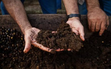 Giá rẻ chưa từng có, một mặt hàng của Nga đang đổ bộ vào Việt Nam trong 8 tháng đầu năm, Nga xuất khẩu đứng đầu thế giới